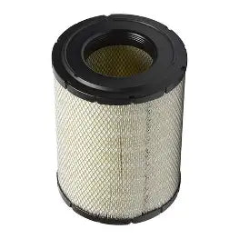 Filtro Aria Donaldson P782104 - Ricambio Professionale